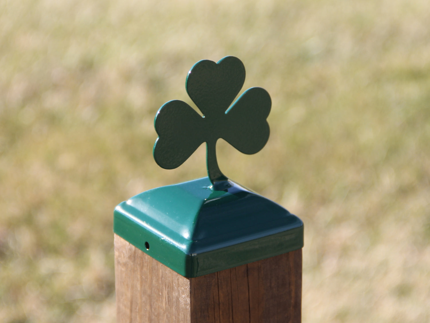 True Size 6x6 Post Cap with Plants and Insects Finial Choice - Madison Iron and Wood