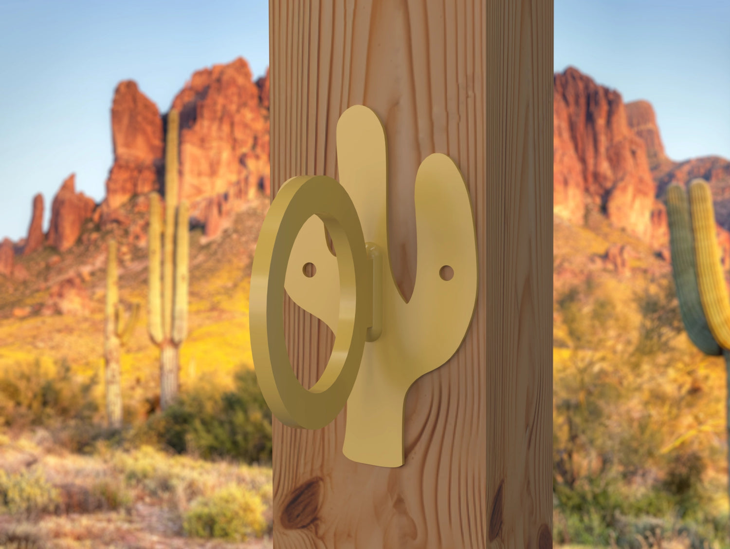 Cactus Nautical Rope Ring, Light Strand Holder (3 sizes available) - Madison Iron and Wood