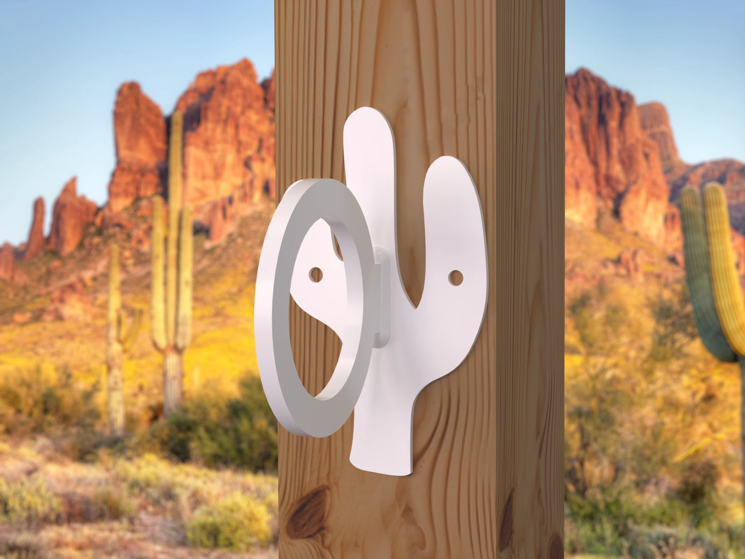 Cactus Nautical Rope Ring, Light Strand Holder (3 sizes available) - Madison Iron and Wood