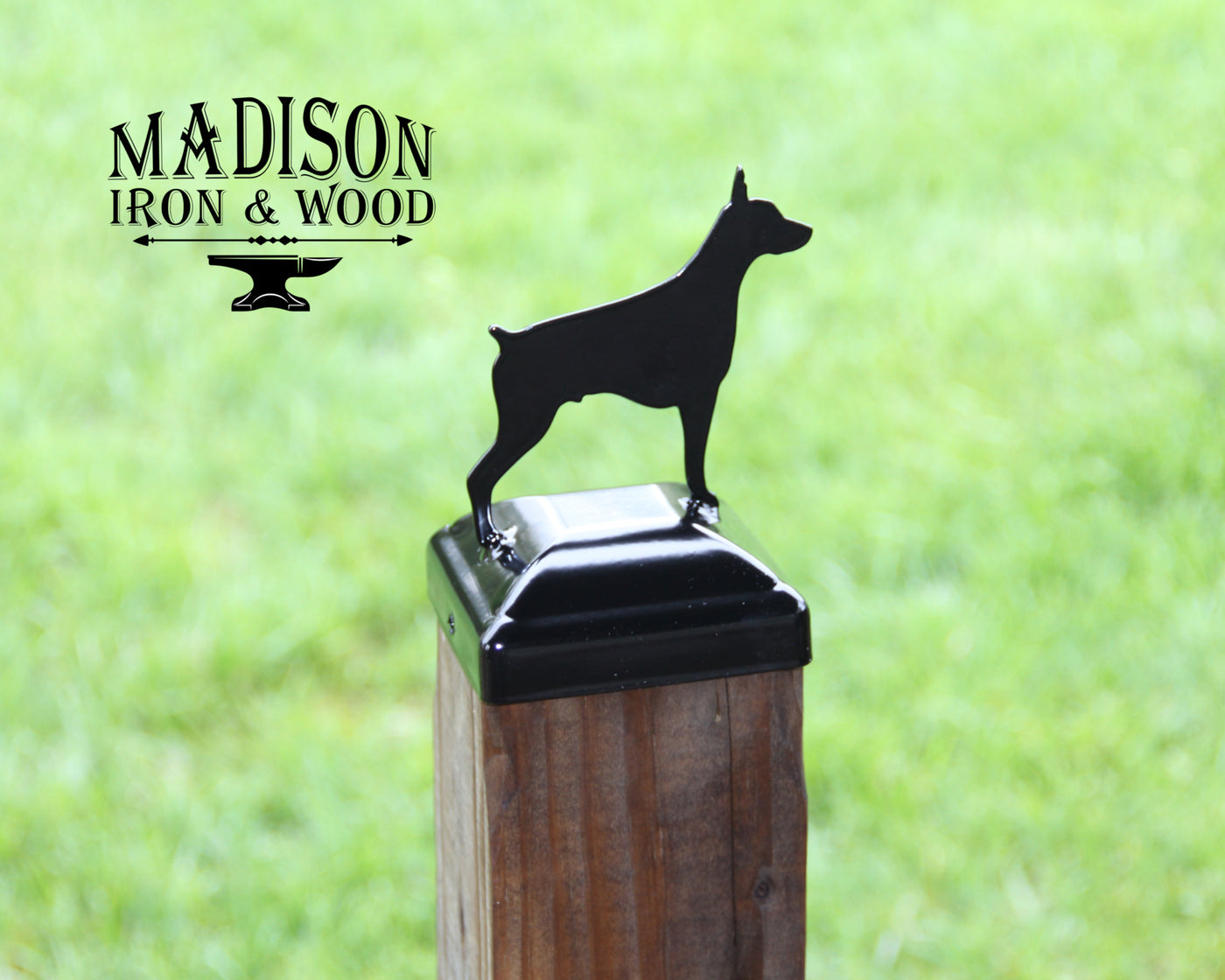 6X6 Dobermann Pinscher Post Cap