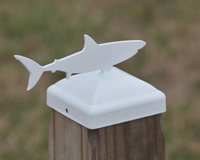 6X6 Shark Post Cap