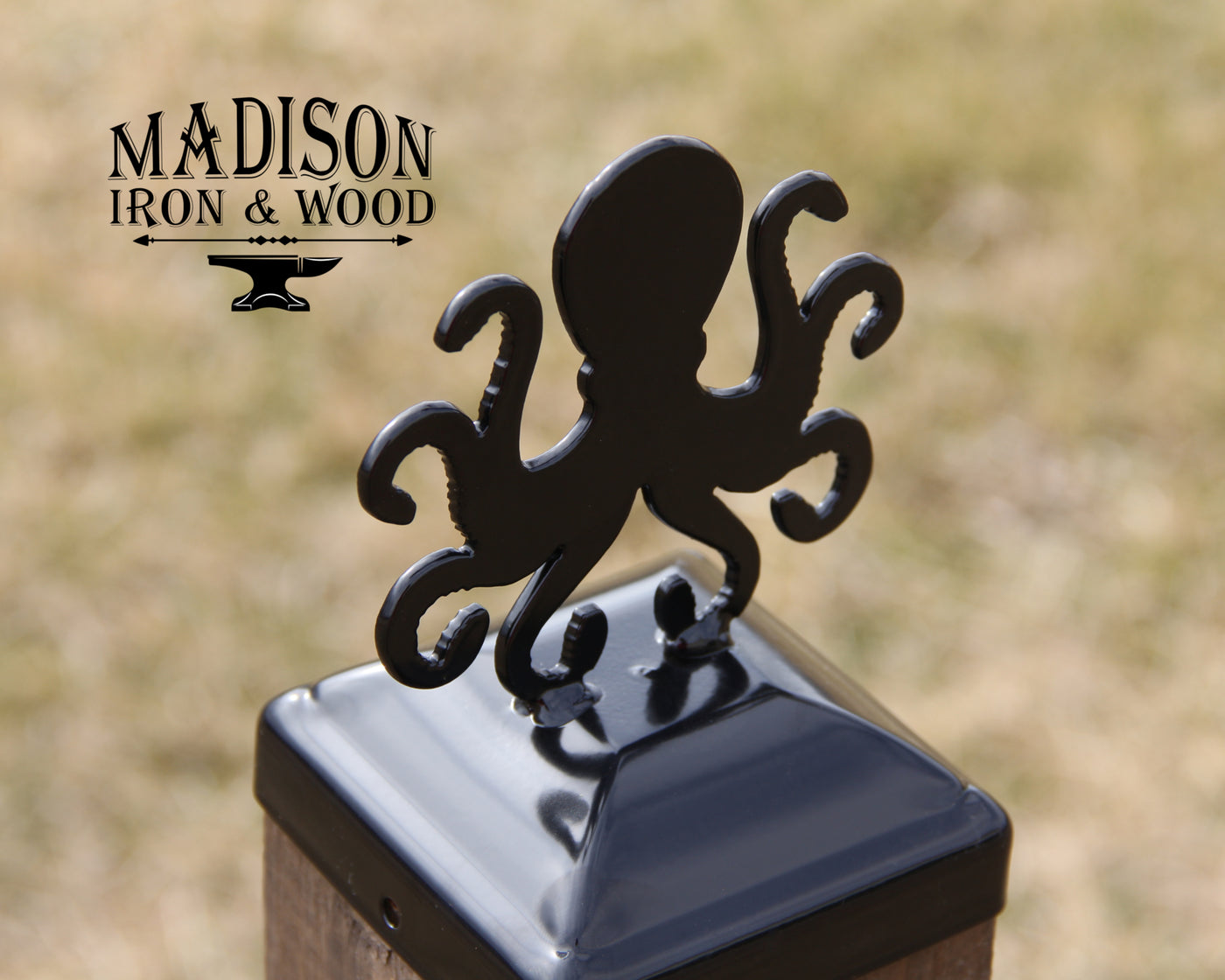 6X6 Octopus Post Cap