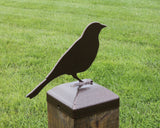 6X6 Song Bird Post Cap (Fits 5.5 x 5.5 Post Size) - Madison Iron and Wood