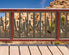 Saguaro National Park Fence/Gate Panel Insert