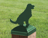 6X6 Golden Retriever Post Cap (5.5 x 5.5 Post Size) - Madison Iron and Wood