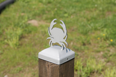 6X6 Crab