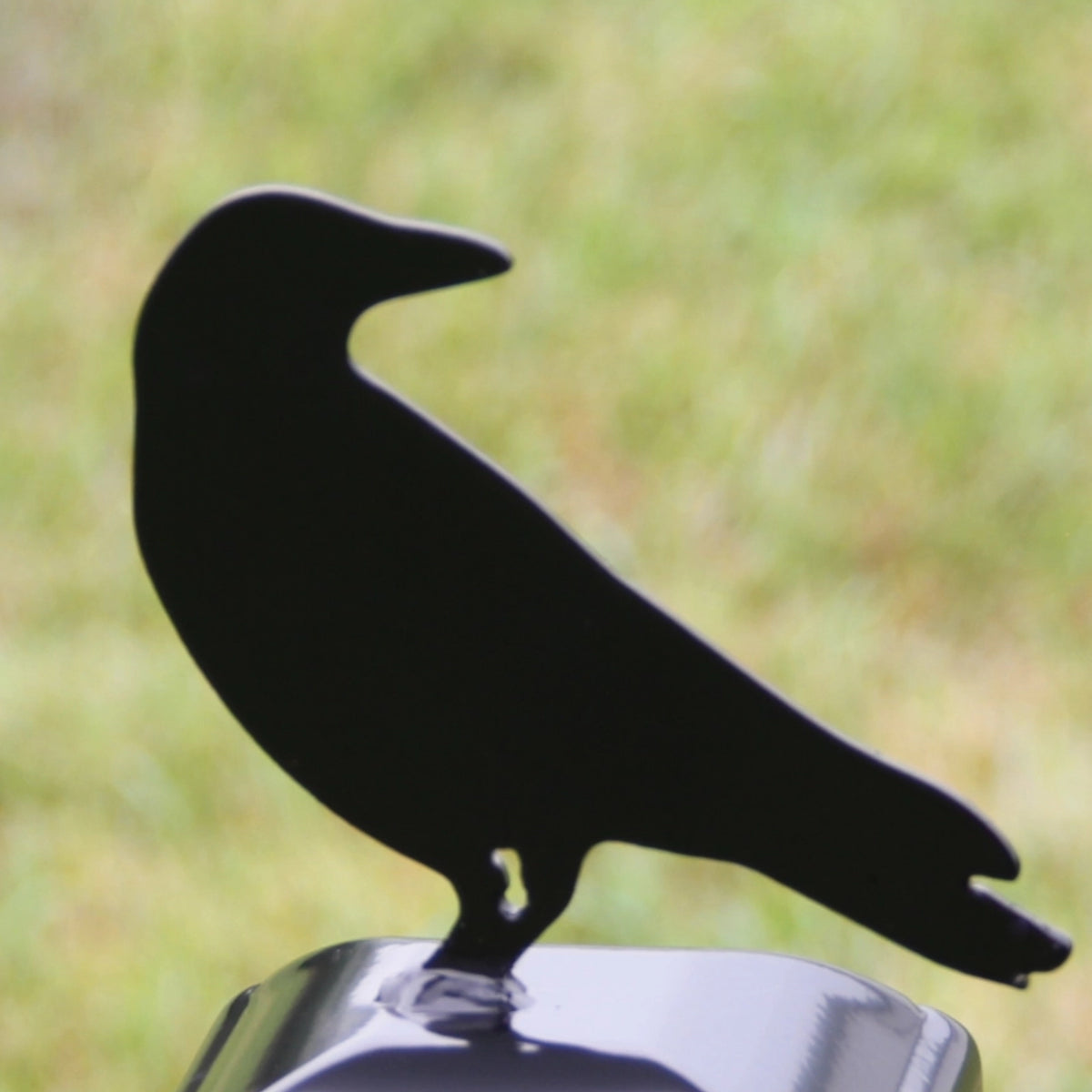 Raven Post Cap For Round Wood Fence Post | Madison Iron and Wood