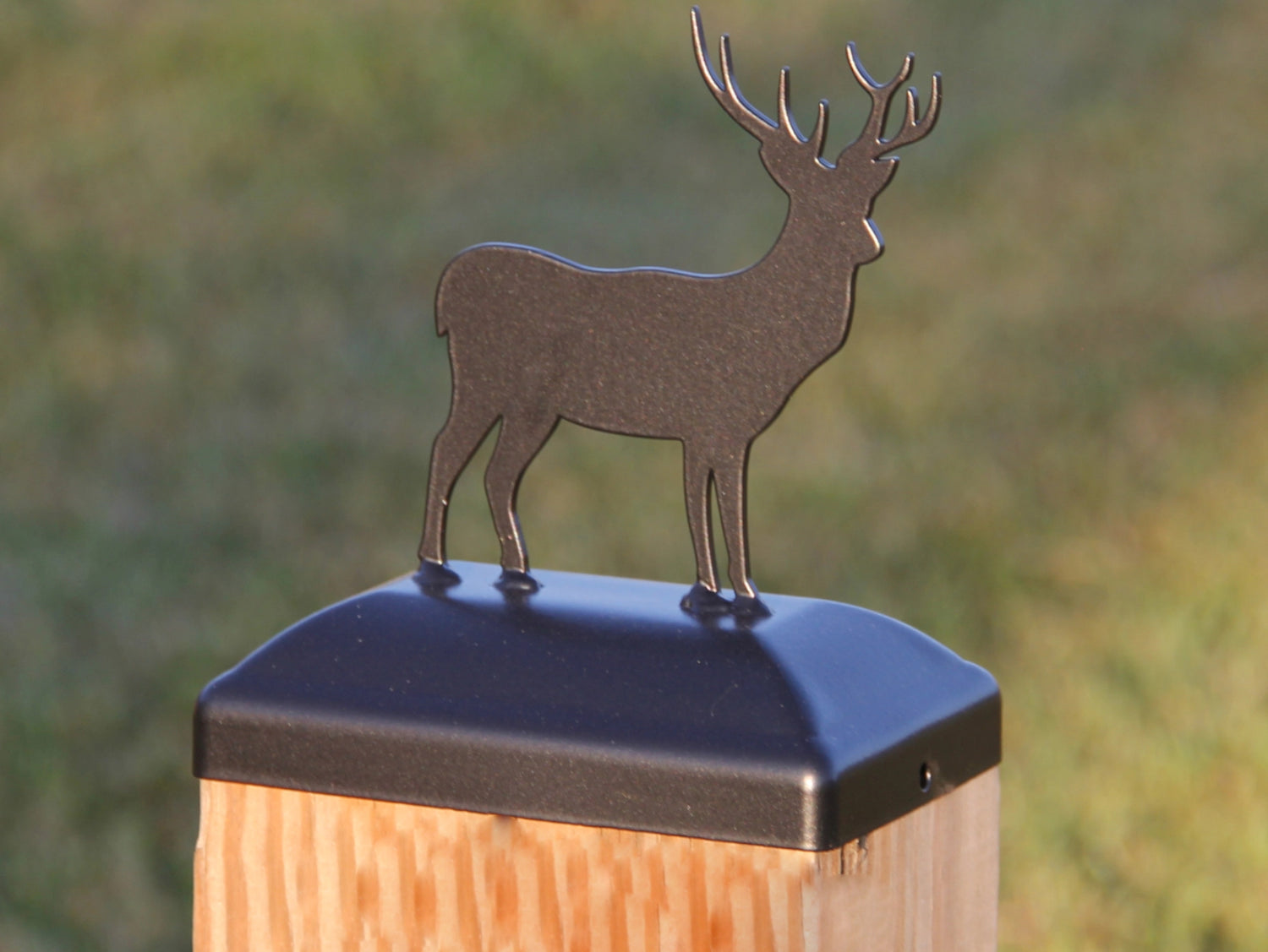4x6 Deer Post Cap (3.5 x 5.5 Post Size) - Madison Iron and Wood