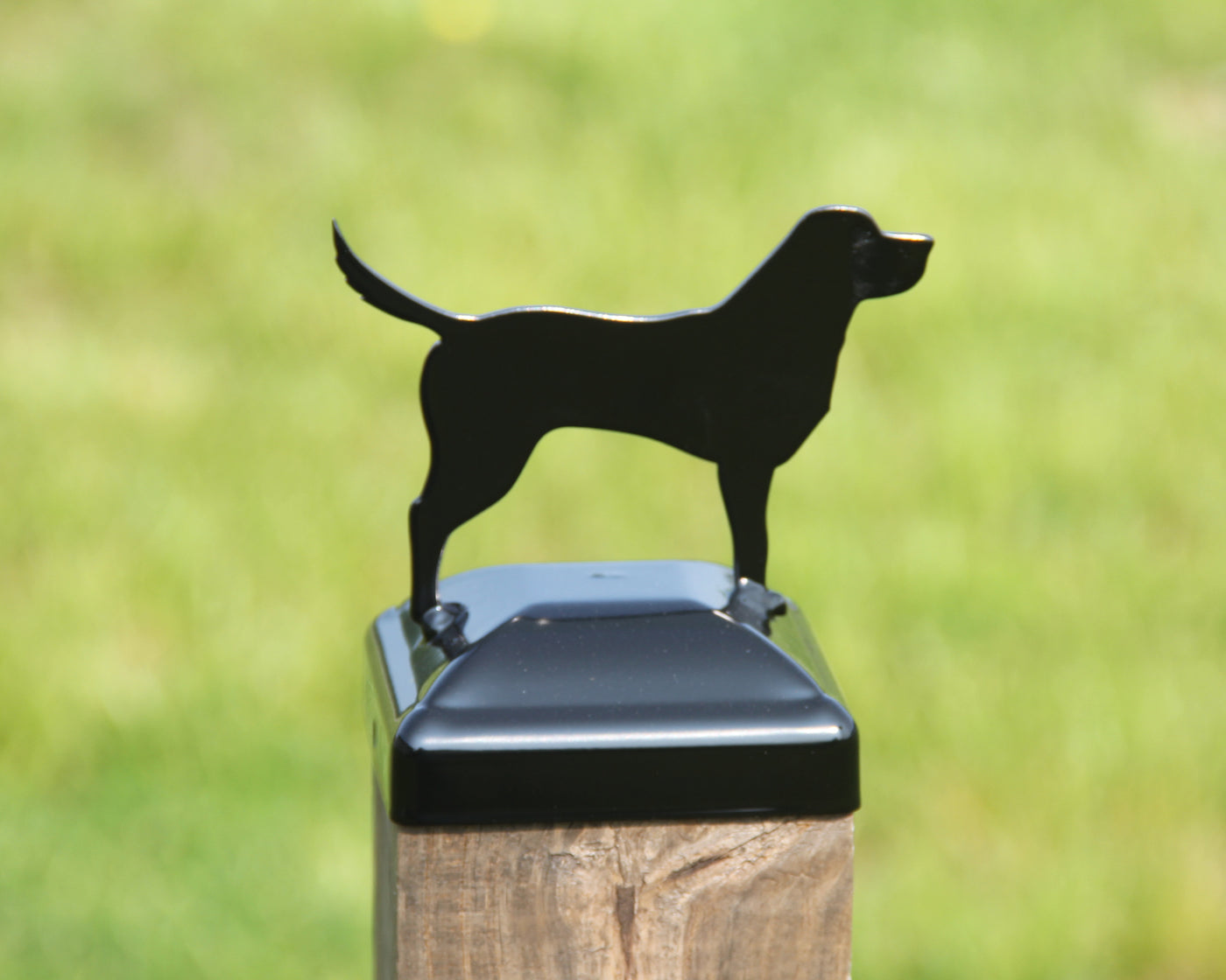 4x4 Labrador Post Cap