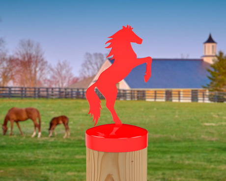 Horse Rearing, Round Post Cap (4x4 Round Post Size) - Madison Iron and Wood