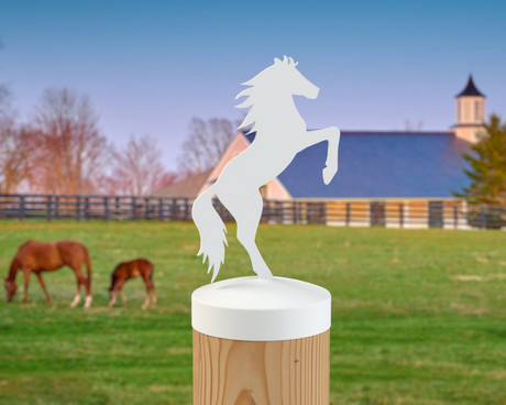 Horse Rearing, Round Post Cap (4x4 Round Post Size) - Madison Iron and Wood