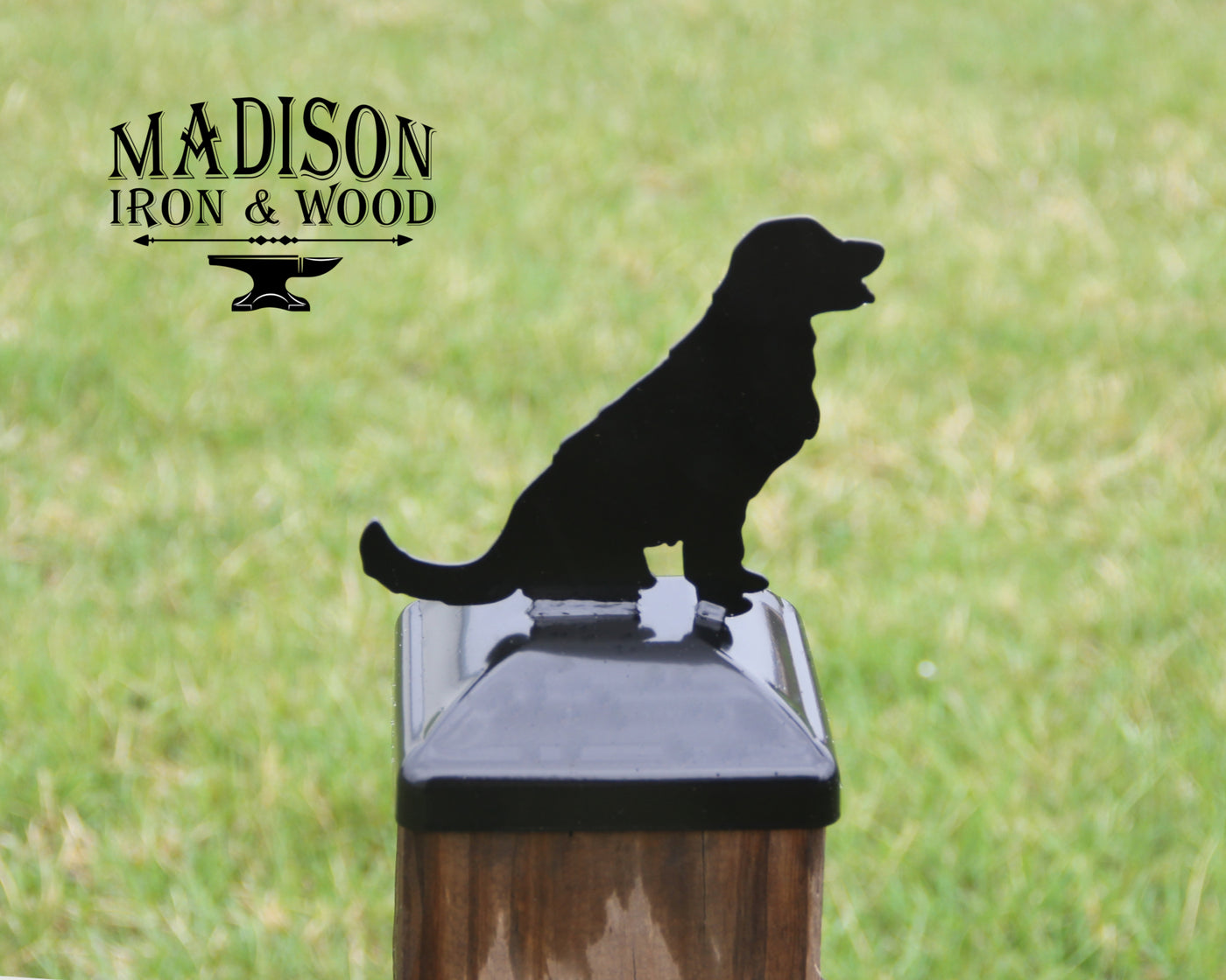 6x6 Golden Retriever Post Cap - Madison Iron and Wood - Post Cap - metal outdoor decor - Steel deocrations - american made products - veteran owned business products - fencing decorations - fencing supplies - custom wall decorations - personalized wall signs - steel - decorative post caps - steel post caps - metal post caps - brackets - structural brackets - home improvement - easter - easter decorations - easter gift - easter yard decor