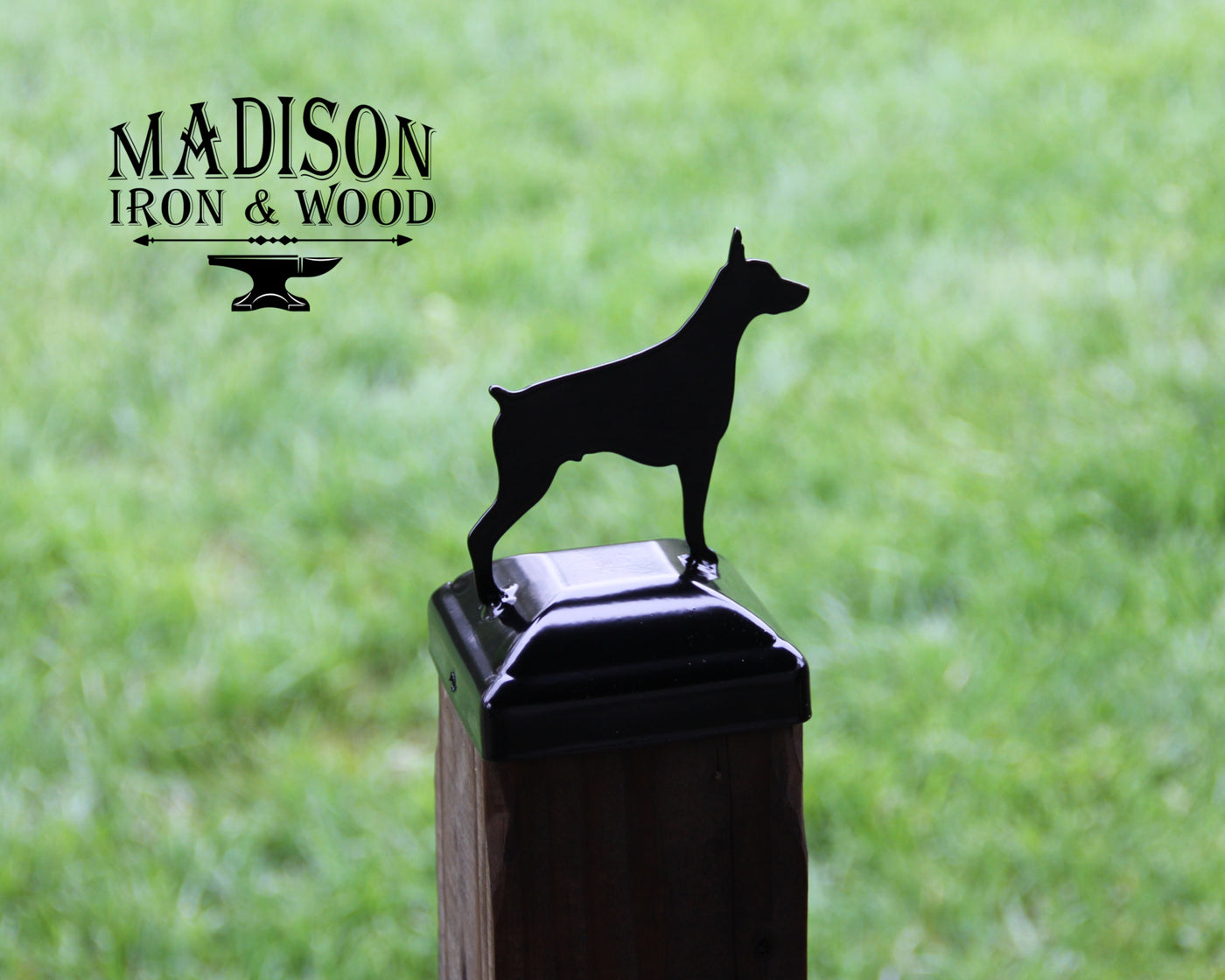 4x4 Dobermann Pinscher Post Cap - Madison Iron and Wood - Post Cap - metal outdoor decor - Steel deocrations - american made products - veteran owned business products - fencing decorations - fencing supplies - custom wall decorations - personalized wall signs - steel - decorative post caps - steel post caps - metal post caps - brackets - structural brackets - home improvement - easter - easter decorations - easter gift - easter yard decor