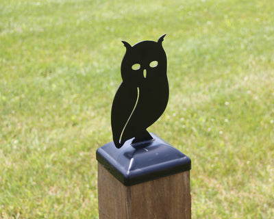 6x6 Owl Post Cap - Madison Iron and Wood - Post Cap - metal outdoor decor - Steel deocrations - american made products - veteran owned business products - fencing decorations - fencing supplies - custom wall decorations - personalized wall signs - steel - decorative post caps - steel post caps - metal post caps - brackets - structural brackets - home improvement - easter - easter decorations - easter gift - easter yard decor