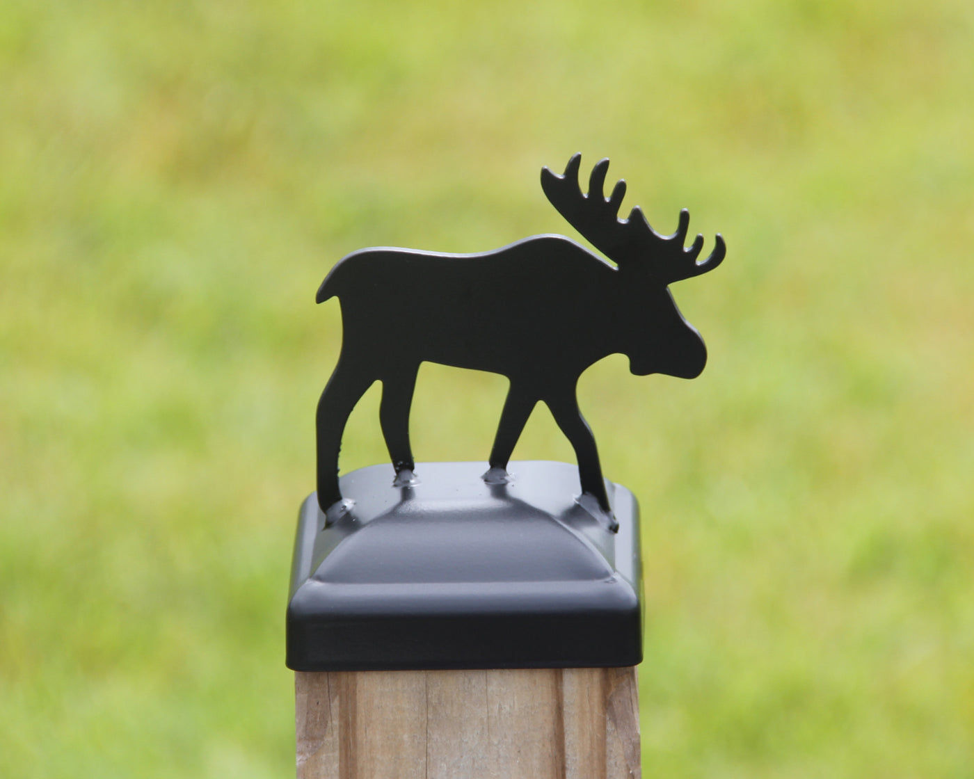 4x4 Moose Post Cap - Madison Iron and Wood - Post Cap - metal outdoor decor - Steel deocrations - american made products - veteran owned business products - fencing decorations - fencing supplies - custom wall decorations - personalized wall signs - steel - decorative post caps - steel post caps - metal post caps - brackets - structural brackets - home improvement - easter - easter decorations - easter gift - easter yard decor