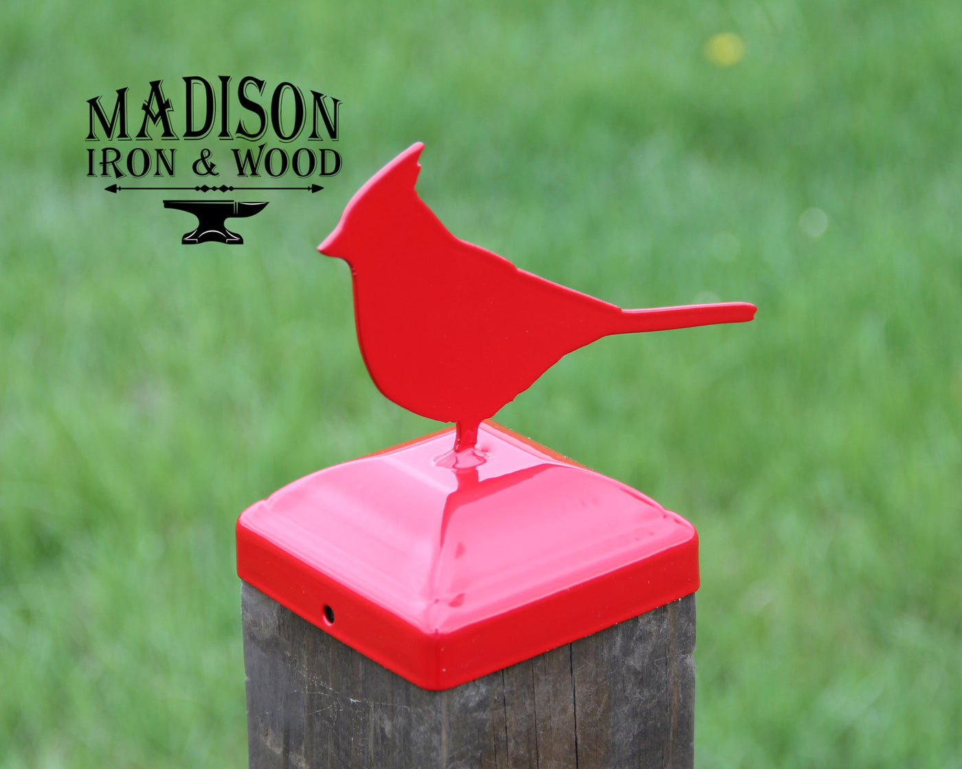 4X4 Cardinal Post Cap - Madison Iron and Wood - Post Cap - metal outdoor decor - Steel deocrations - american made products - veteran owned business products - fencing decorations - fencing supplies - custom wall decorations - personalized wall signs - steel - decorative post caps - steel post caps - metal post caps - brackets - structural brackets - home improvement - easter - easter decorations - easter gift - easter yard decor