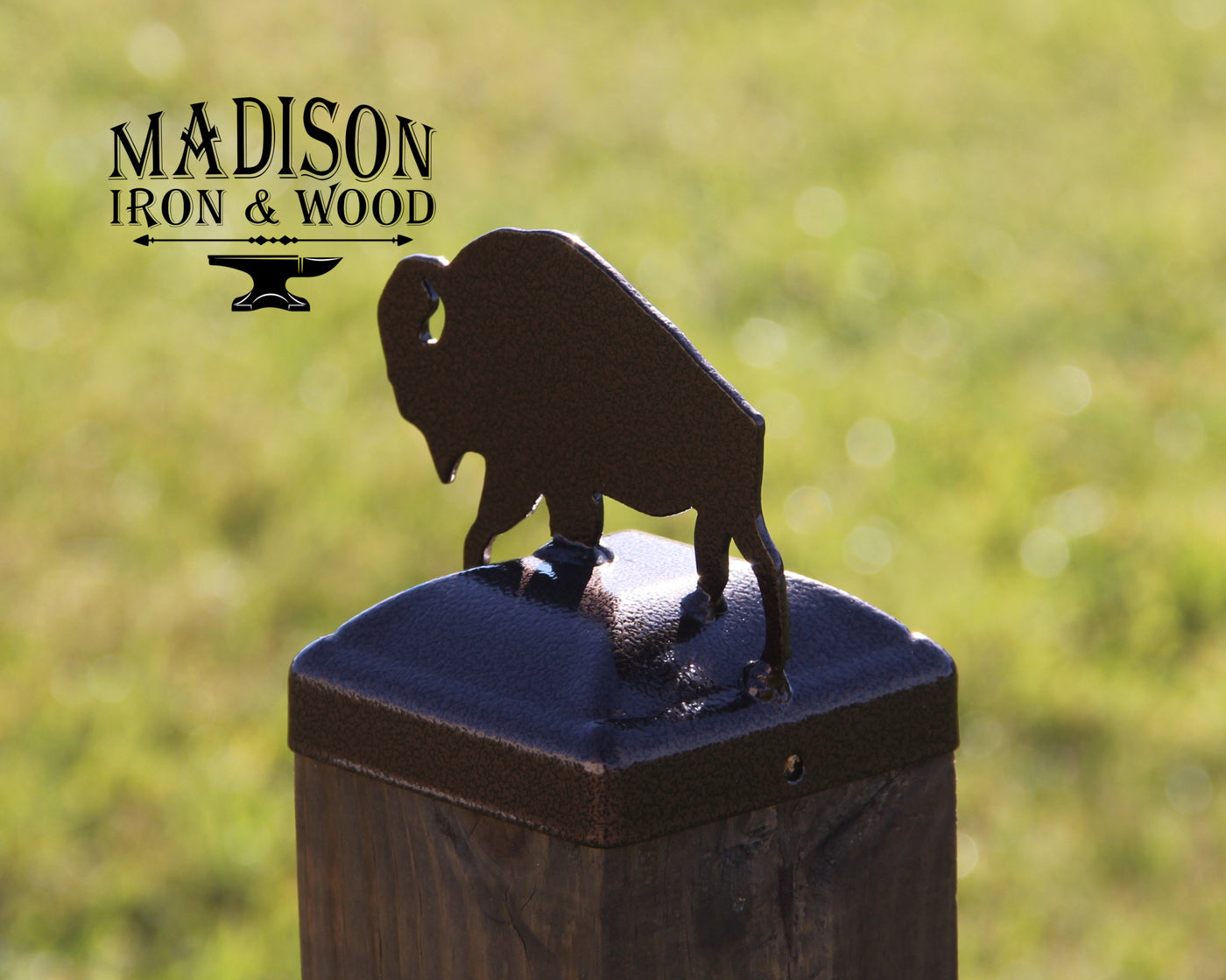 4x4 Buffalo Post Cap - Madison Iron and Wood - Post Cap - metal outdoor decor - Steel deocrations - american made products - veteran owned business products - fencing decorations - fencing supplies - custom wall decorations - personalized wall signs - steel - decorative post caps - steel post caps - metal post caps - brackets - structural brackets - home improvement - easter - easter decorations - easter gift - easter yard decor