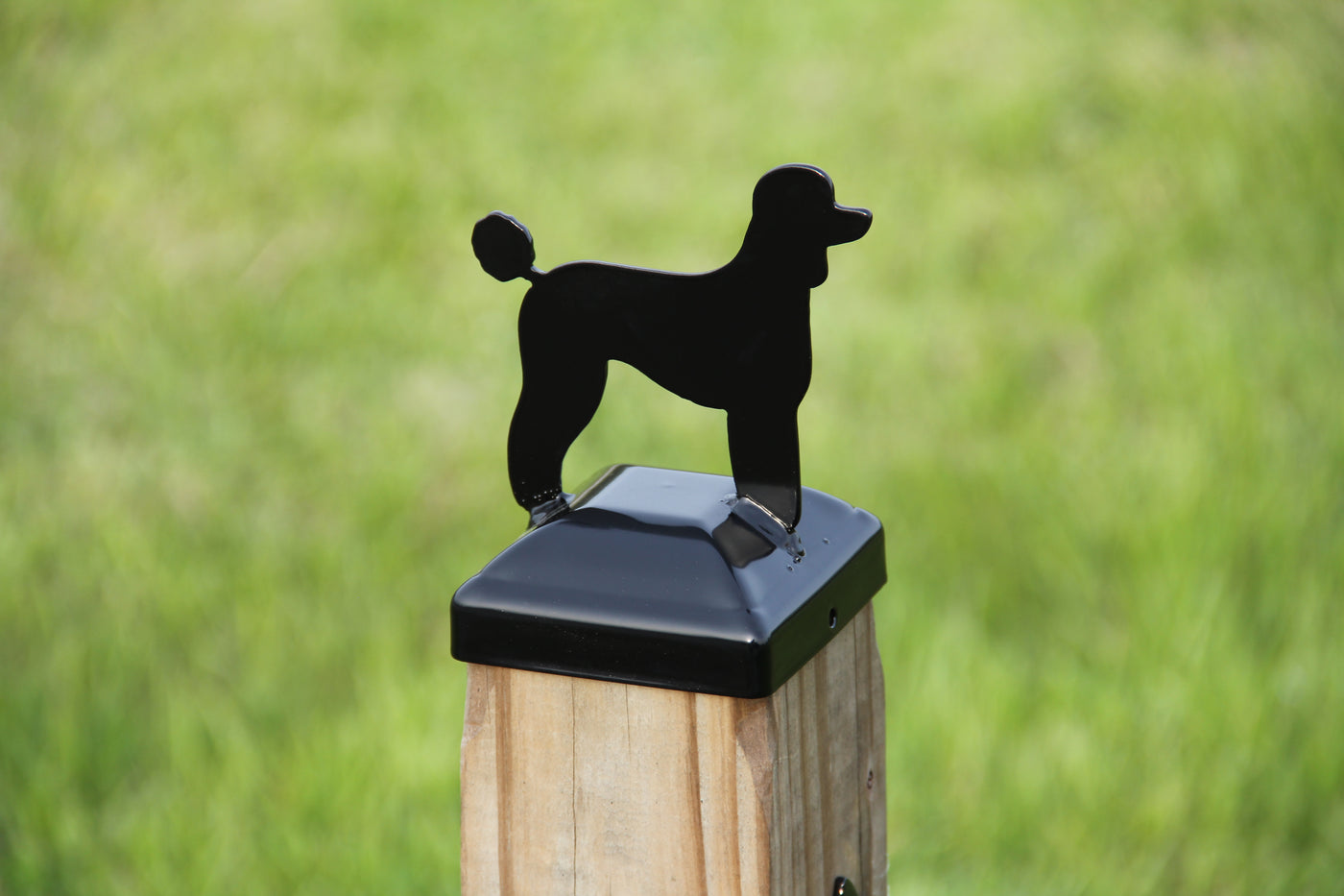 4x4 Poodle Post Cap - Madison Iron and Wood - Post Cap - metal outdoor decor - Steel deocrations - american made products - veteran owned business products - fencing decorations - fencing supplies - custom wall decorations - personalized wall signs - steel - decorative post caps - steel post caps - metal post caps - brackets - structural brackets - home improvement - easter - easter decorations - easter gift - easter yard decor
