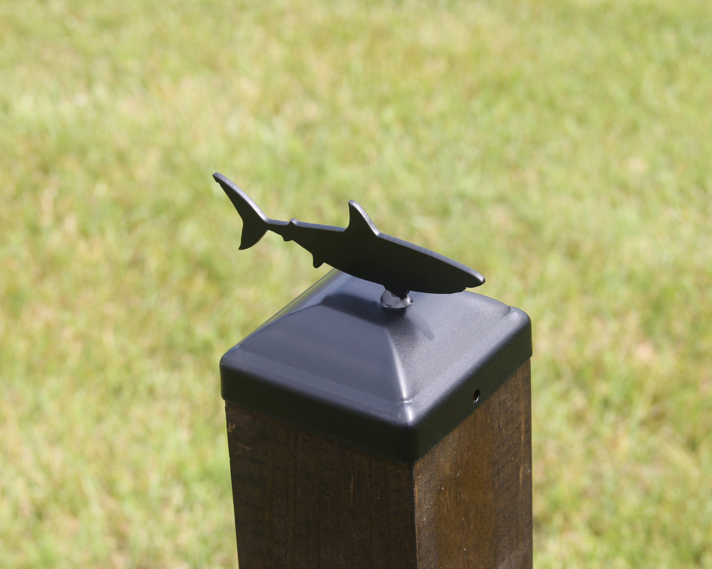 4X4 Shark Post Cap - Madison Iron and Wood - Post Cap - metal outdoor decor - Steel deocrations - american made products - veteran owned business products - fencing decorations - fencing supplies - custom wall decorations - personalized wall signs - steel - decorative post caps - steel post caps - metal post caps - brackets - structural brackets - home improvement - easter - easter decorations - easter gift - easter yard decor